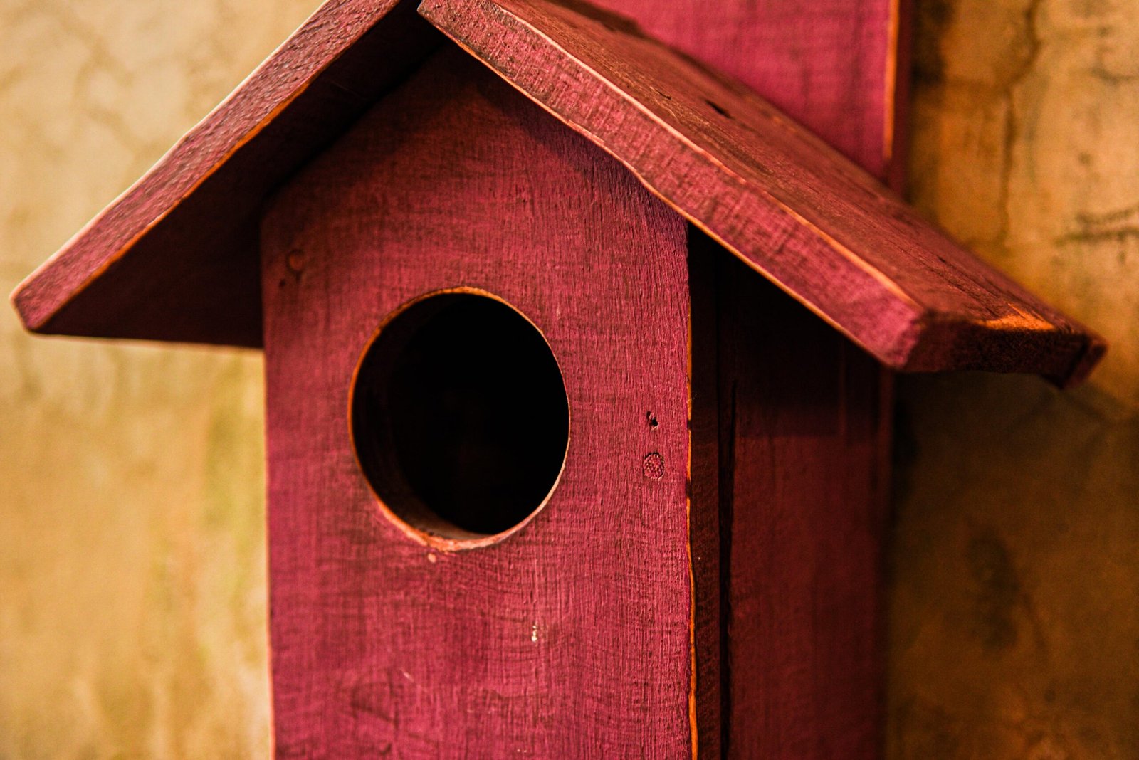 casa de pájaros intervenida con fondo de madera